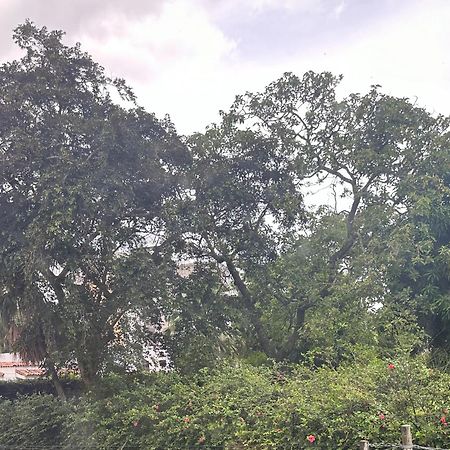 Monblanc Apartamento Completo سان سلفادور المظهر الخارجي الصورة