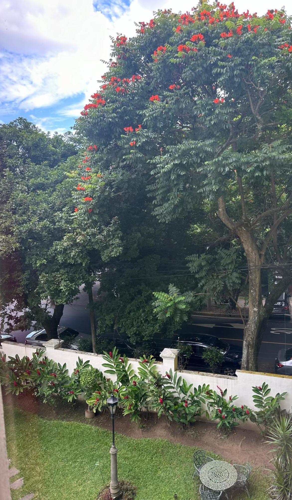 Monblanc Apartamento Completo سان سلفادور المظهر الخارجي الصورة